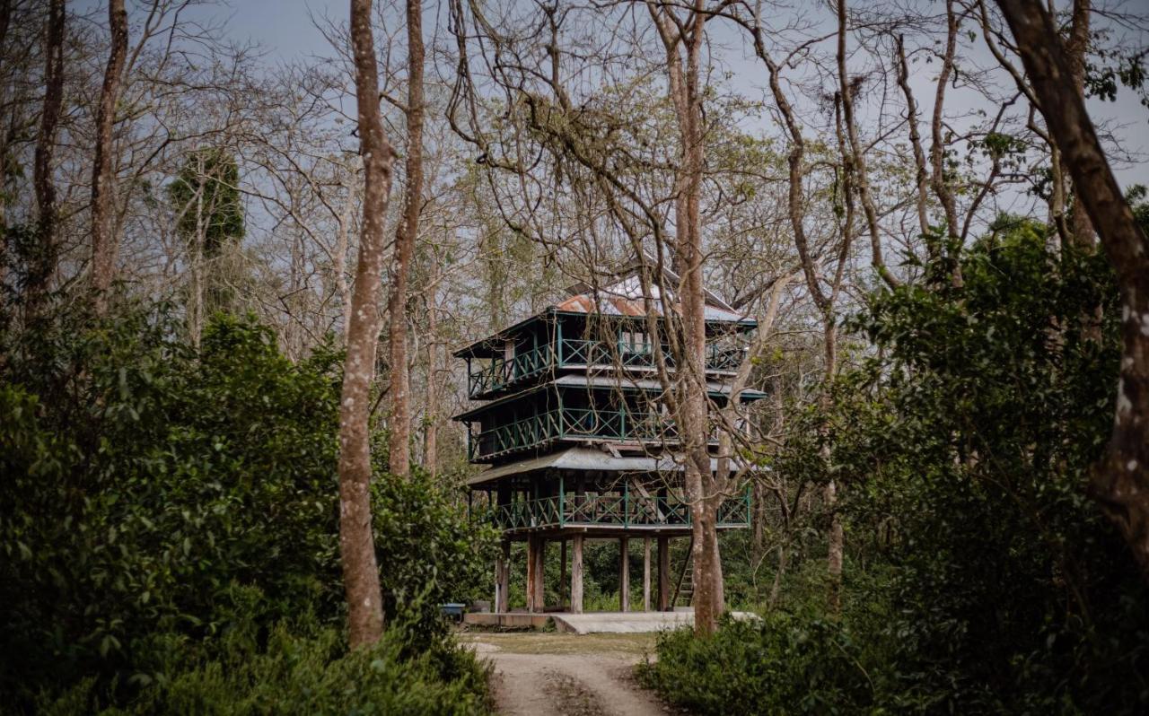 Hotel Tharu Garden, Sauraha Exterior foto